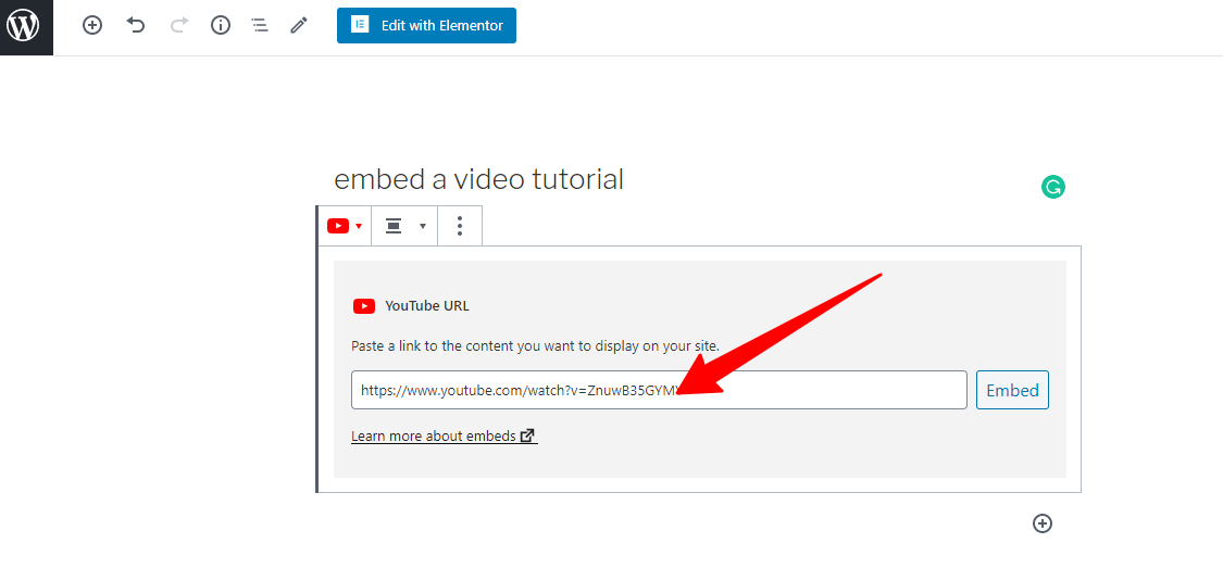 how-to-embed-video-in-wordpress-post-and-pages